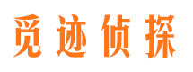 东山市私家侦探